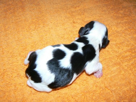 19.2.2010 (2.deň) - 150g