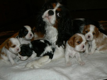 všetky patria mne (13.3.2010)